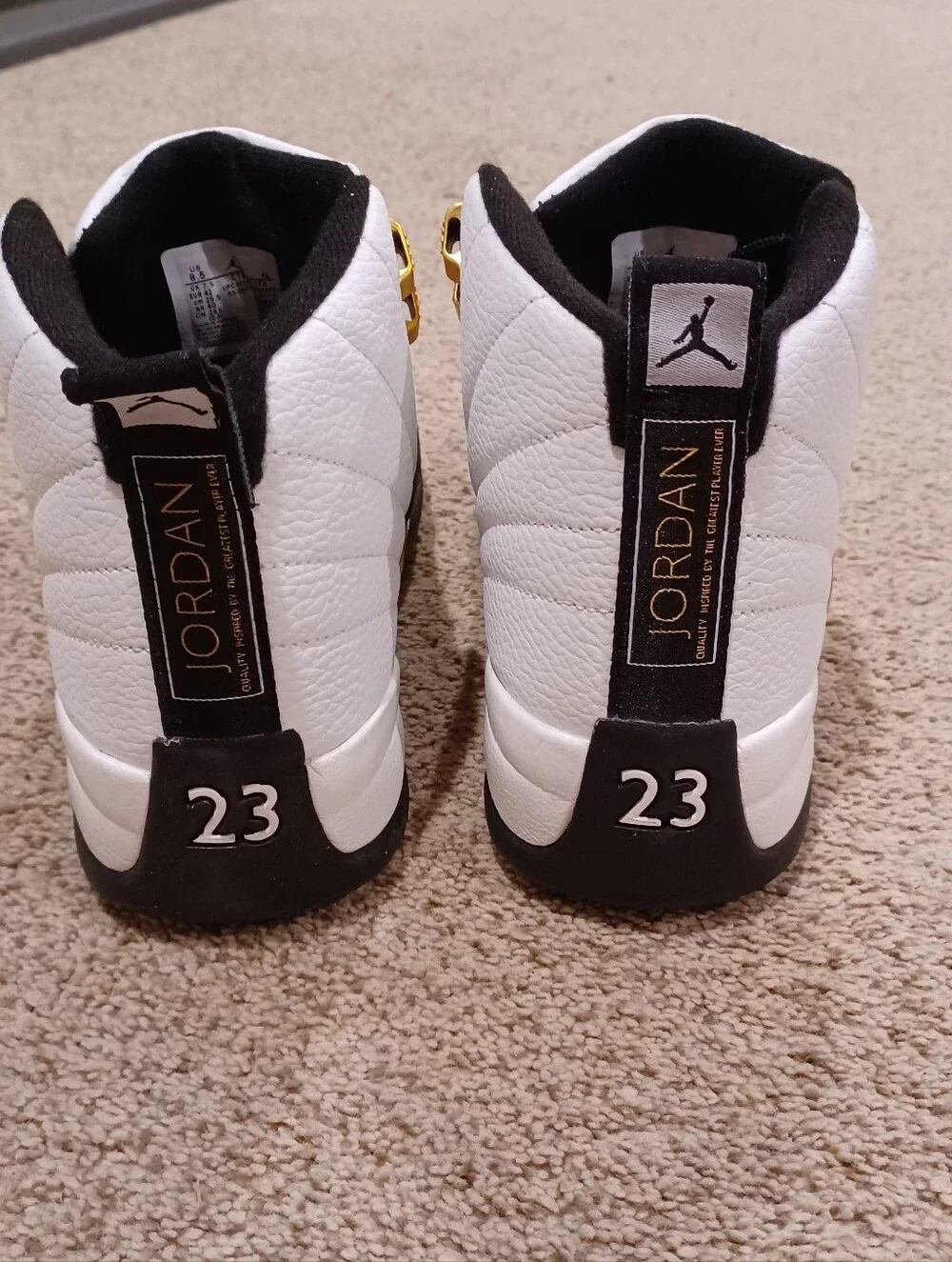 Air Jordan 12 Retro 